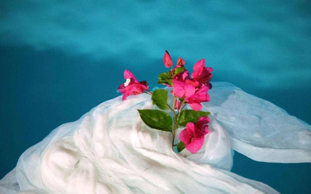 Atlantis - By S Paradise - Outdoor Jacuzzi & Seaview Apartment Oia (Santorini)